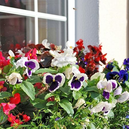 Bed and Breakfast Lemongrove House Enniscorthy Zewnętrze zdjęcie