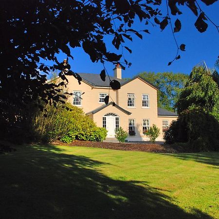 Bed and Breakfast Lemongrove House Enniscorthy Zewnętrze zdjęcie