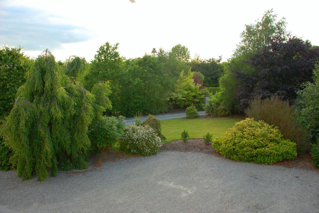 Bed and Breakfast Lemongrove House Enniscorthy Zewnętrze zdjęcie