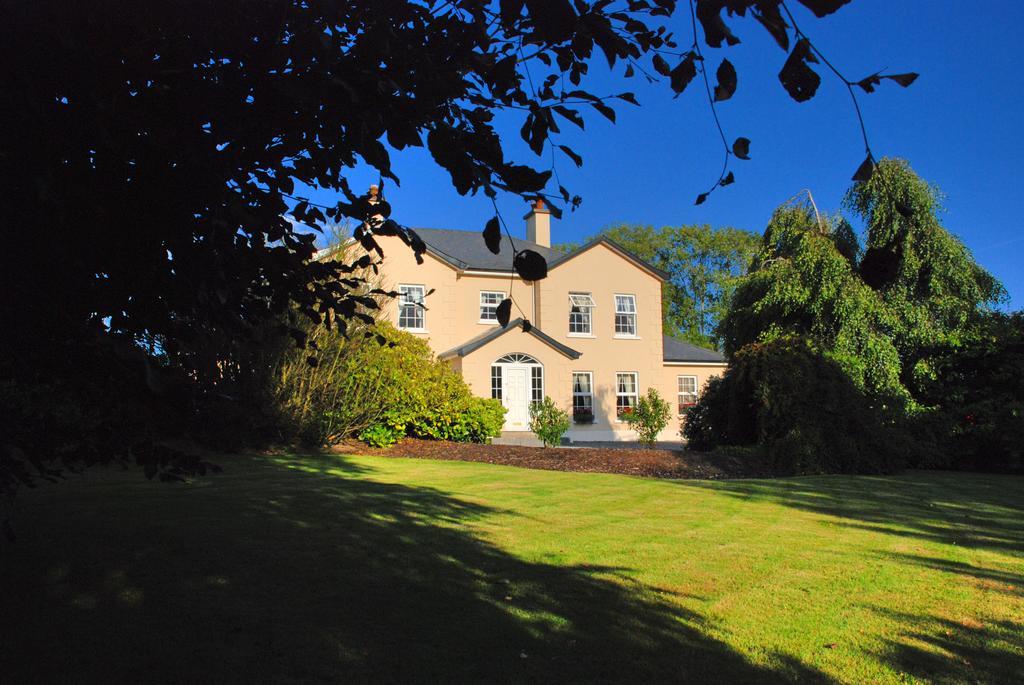 Bed and Breakfast Lemongrove House Enniscorthy Zewnętrze zdjęcie
