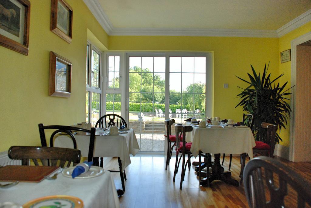 Bed and Breakfast Lemongrove House Enniscorthy Zewnętrze zdjęcie